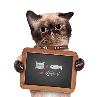 cat-with-blackboard.png